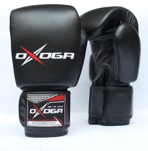 Twins Special Muay Thai Boxing Gloves Univesal Gloves for Training or Sparring.