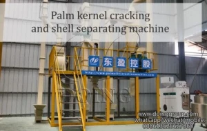 Palm kernel kcracker and shell separator machine for sale