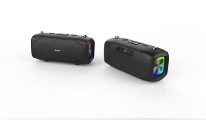 Private 20W portable speakers