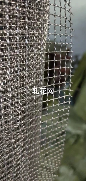 grill mesh gabion wire mesh, net customized specification 100% high quality