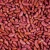 Import Premium red kidney beans supplied in bulk for wholesale buyers with factory price advantage from Malaysia