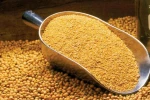 Premium Soya Bean Meal - High Protein 46% Min - Animal Feed Grade - Bulk Supply