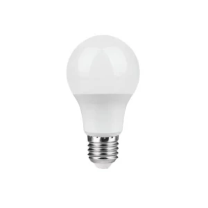 A60 LED Bulb 5W/7W/9W/12W 6500K/2700K AC100-300V 30000hours