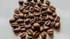 Robusta Coffee Beans