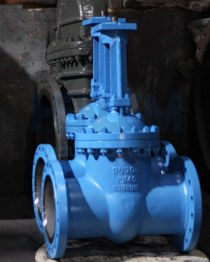 GOST DN300 PN40 Gate Valve Material:12X18H9T