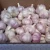 Import Fresh normal white garlic 5.0cm up from China