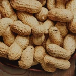 High-Quality Jugo Beans for Sale with Rich Protein and Fiber to Support Healthy Digestion and Balanced Meals
