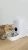 Import Smart Automatic Pet Feeder Machine from Poland