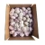 Import Fresh normal white garlic 5.0cm up from China