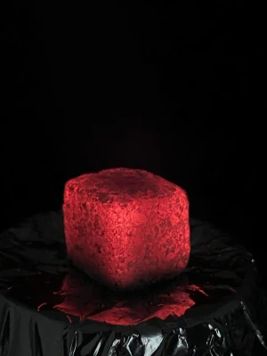 Premium Coconut Shell Briquette for Efficient Eco Friendly Fuel