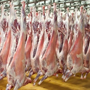 100% Halal Frozen Sheep Meat