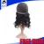 Import 100% Natural human hair wigs for black women,wholesale brazilian human hair full lace wig,silk base full lace wig with baby hair from China