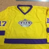 100% polyester quick dry fabric funny hockey jerseys ice hockey wear