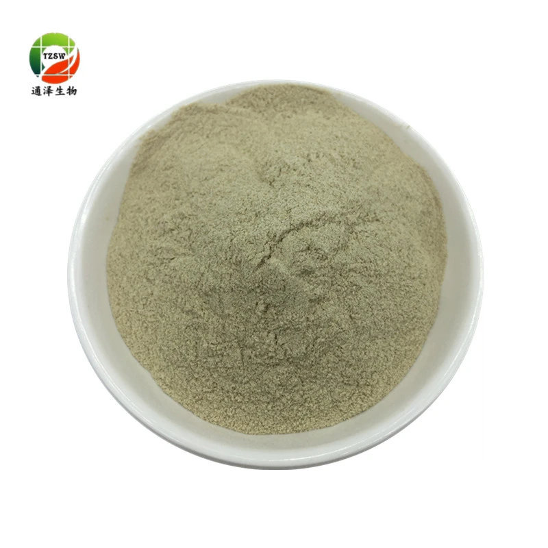100% Pure Natural Sea Cucumber Extract Powder for Cosmetics/Food/Medicine