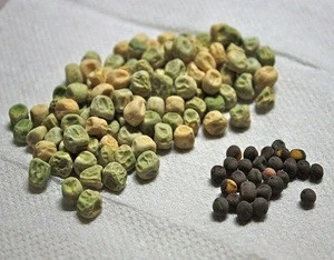 100% Wholesale Sweet pea Seeds In Austria
