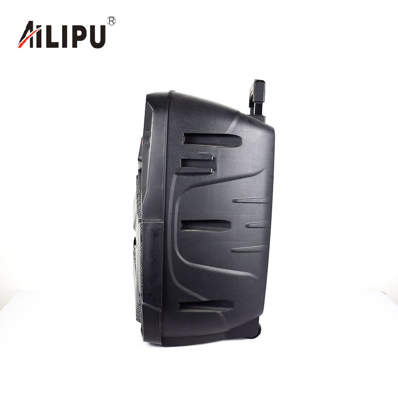 Buy 12 Inch Subwoofer Speaker Portable Trolley Speaker Audio Player ...