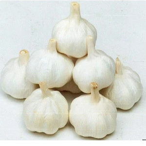 2018 China normal white fresh garlic price