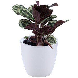 2020 Creative garden smart flower pot ABS plastic self watering planter