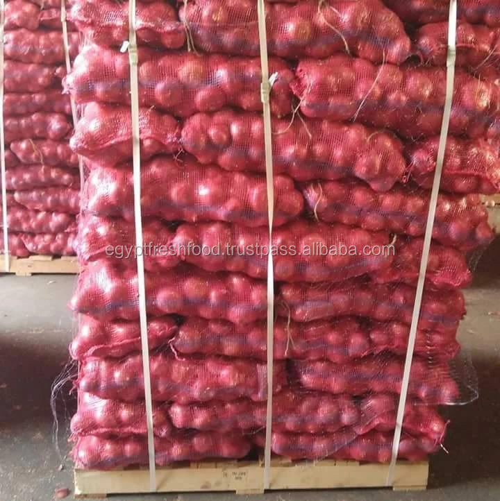 2020 crop fresh red onion for sale with best price