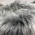 Import 2020 Natual Metallic Shaggy Long Pile Sparkling Shiny Tinsel Faux Fur Fabric from China