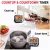 Import 2021 New Arrival ThermoPro Digital Loud Kitchen Timer with Countdown Touchable Backlit LCD from China