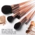 Import 2021 New Arrivals Travel Makeup Brushes High Quality Wholesale Eye Makeup Brushes Set from China