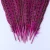 Import 25-30cm Artificial Feathers Carnival Costumes Feather Home Decors Reeves Pheasant Tail Feathers Natural for Crafts Decoration from China