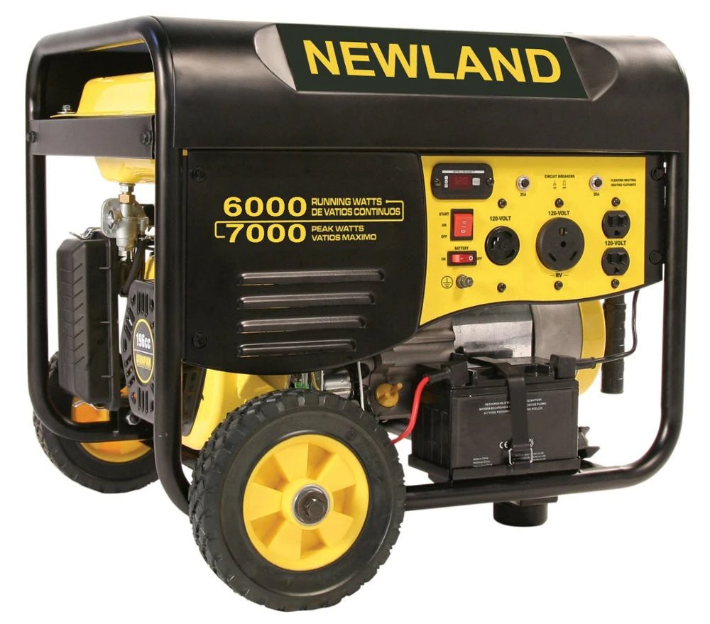 2Kw Portable Gasoline Generator With Ohv