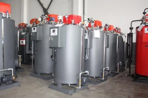 500kg Gas Induction Steam Generator