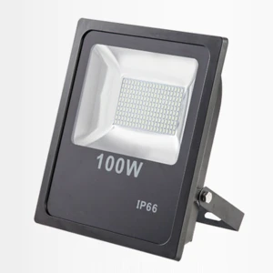 50w 100w SMD led flood light 220 volt 240 volt 12 volt outdoor lighting waterproof ip66