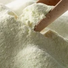 90% Demineralized milk whey powder