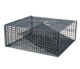 a price crayfish traps for sale