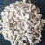 Import Agricultura/Garden pearlite from China