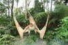 Animatronic fly dinosaur in forest