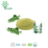 Antioxidants plant extract Rosemary extract rosmarinic acid supplement bulk powder extract