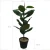 Import Artificial Ficus Microcarpa Bonsai from China