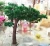 Artificial pine tree and cypress bonsai tree ornamental plants artificial cedar tree Artificial pines