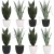 Import Artificial Snake Plant Fake Sansevieria with White Plastic Pot Artificial Potted Plants for Home Office Faux Plants Indoor Outdo from China