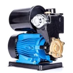Auto Water Pump Parts Centrifugal Pumps Self sucking Electric Motor heat pompa PS150B 300w DACHENG