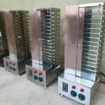Automatic rotary roasted chicken wings equipment electric vertical rotisserie