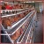 Import Battery Layer Chicken Cage For Poultry Farm With 96,120,128,160 Birds Capacity from China