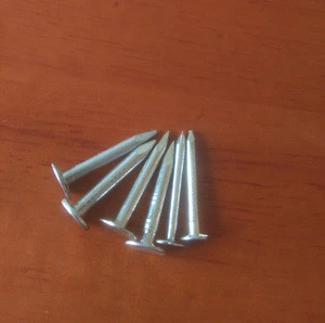 Best Price Galvanized Roofing Felt Clout Nail from Linyi Factory