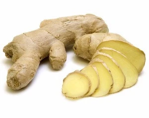 Best quality ginger root extract/free sample Gingerols/ low price Zingiber officinale powder