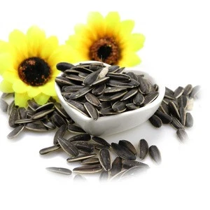 Best Quality Sunflower Seeds Roasting Sunflower Kernels