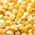 Import Best Yellow Maize Animal Feed 2018 from India