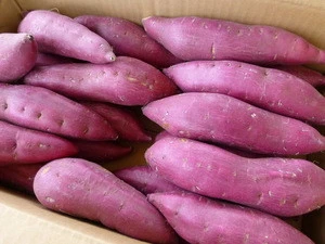 Big sweet potato with high quality/Red Skin Available