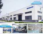 BIOBASE Fully Automatic Voltage Regulator voltage stabilizers automatic voltage regulation