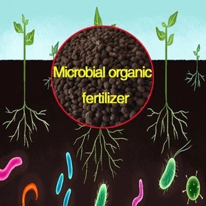 Biological organic fertilizer and Biological organic fertilizer