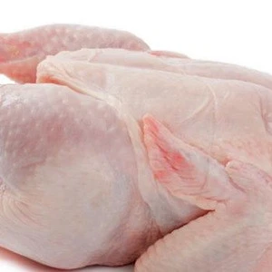 Brazilian Quality Halal Frozen Whole Chicken and Parts / Thighs / Feet / Paws / Drumsticks
