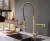 Import Brushed Gold Brass Taps Sink Pull Down Kitchen Faucet from China